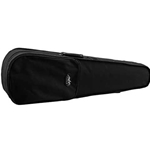 Violin Case, Poly