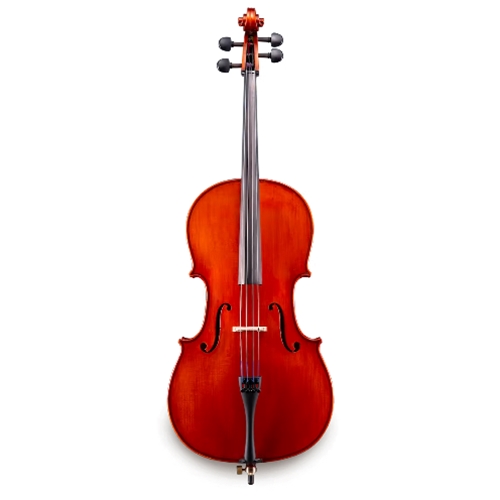 Ward-Brodt Music - 4/4 Samuel Eastman 100 Cello Outfit