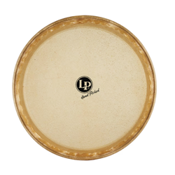 LP Rawhide Conga Head 11"