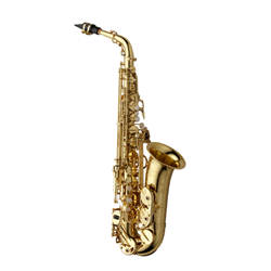 Yanagisawa Pro Eb Alto Sax