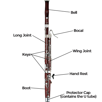 Tenor Saxophone Diagram