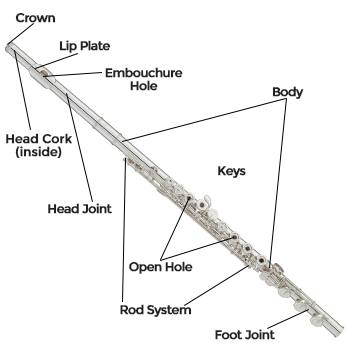 Alto Saxophone Diagram