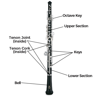 Alto Saxophone Diagram