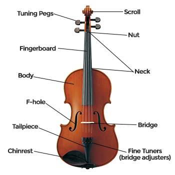 Alto Saxophone Diagram