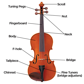 Alto Saxophone Diagram