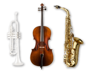 Advanced Instruments